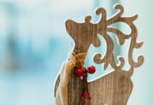 A Healthy, Whole Holiday Season