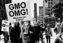 Taking a Stand for GMO Labelling, Regenerative Agriculture, and Nature